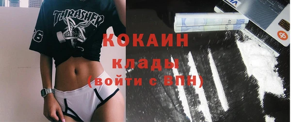 бошки Мегион