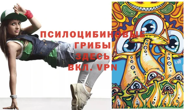 молекула духа Медногорск