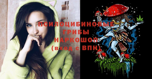 молекула духа Медногорск