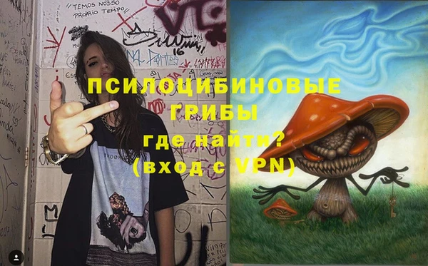 бошки Мегион