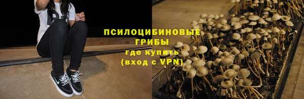 бошки Мегион
